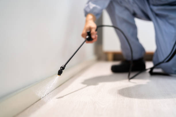 Licensed Wasp Removal service in Starke, FL - Show Me Pest Control