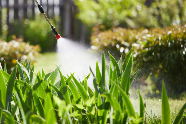 24/7 Emergency Wasp Removal experts in Starke, FL