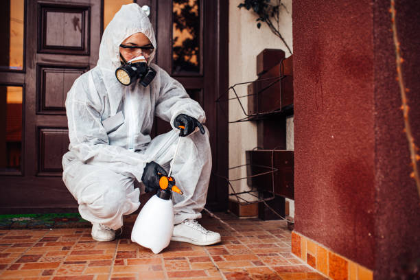 Reliable Wasp Removal contractor in Starke, FL by Show Me Pest Control